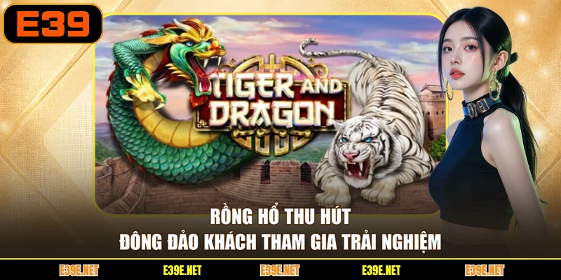 Rồng Hổ thu hút đông đảo khách tham gia trải nghiệm
